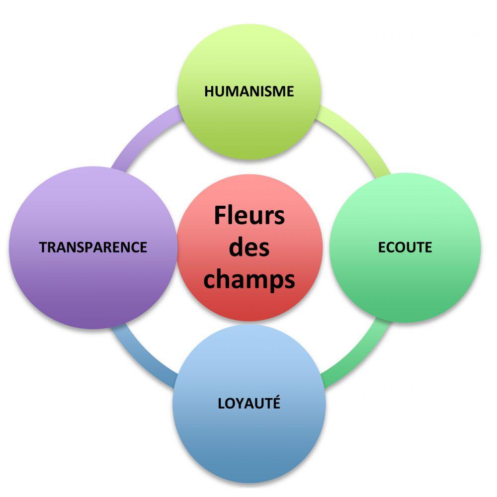 Projet-Associatif-Fleurs-des-champs